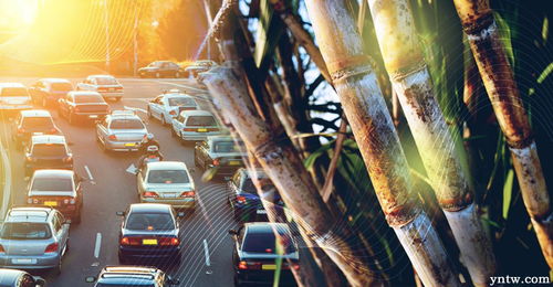 大宗商品市場的蝴蝶效應 電動汽車賣得越好 國際糖市遭受的打擊就越大