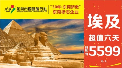 現場直擊海博會||開啟環球之旅,即日起至30日在厚街國際展覽中心等著你!