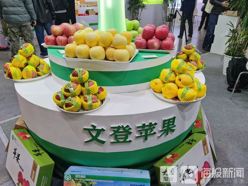 文登特色產品亮相第十二屆中國國際商標品牌節,斬獲兩項金獎