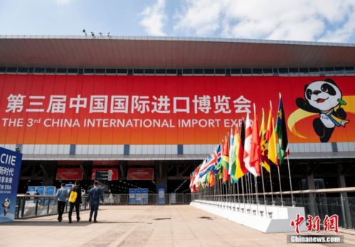 就在今晚 進博會大幕開啟,提前跟隨本報記者來探館