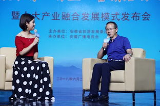 安徽旅游 百業(yè) 營銷活動(dòng)巡禮圓滿落幕