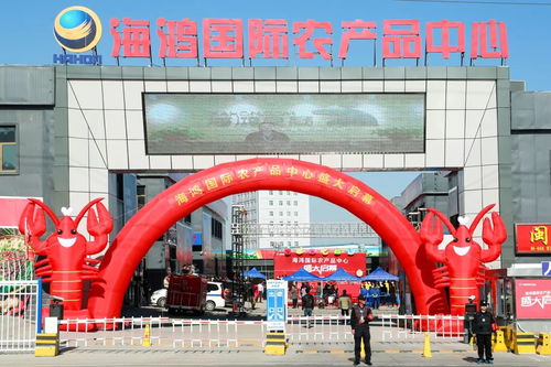 新疆首家一站式全產(chǎn)業(yè)鏈農(nóng)副產(chǎn)品商貿(mào)綜合體建成投運 海鴻國際農(nóng)產(chǎn)品中心9月15日盛大啟幕
