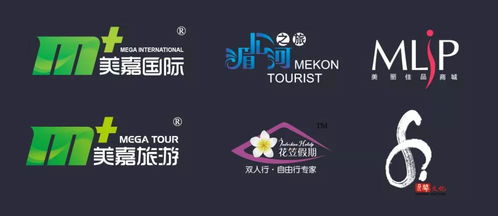 美麗佳品 項目介紹