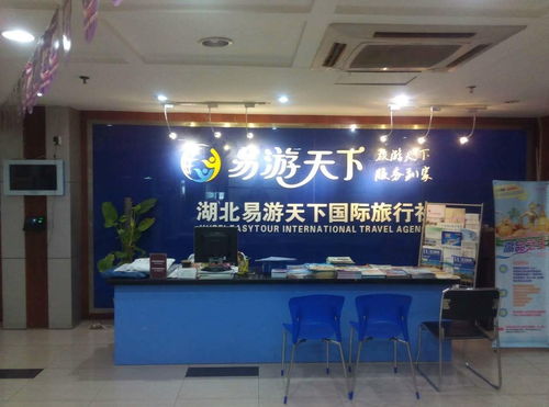 湖北易游天下國際旅行社