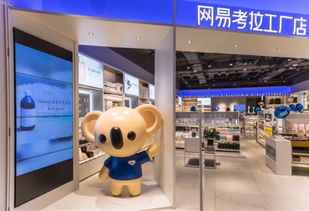 孵化丁磊同款羊絨圍巾的網易考拉全球工廠店落地,今年將開12家