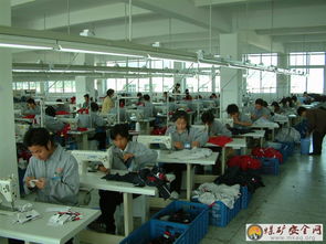 中國礦業大學管理學院 撼樹的蚍蜉實踐團 關于中小微型企業對當地經濟的影響的報告